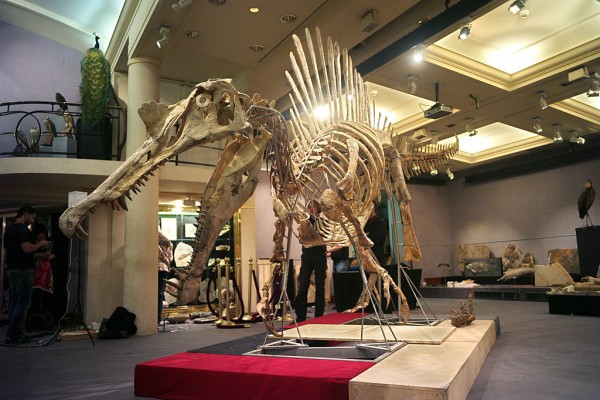 Spinosaur