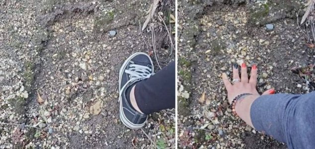 Possible Bigfoot tracks discovered near Mt St Helens