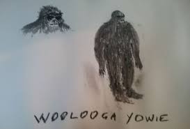 Woolonga yowie