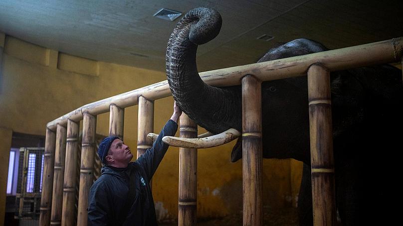 Kyrylo Trantin tends to Kyiv Zoo's animals during the fighting